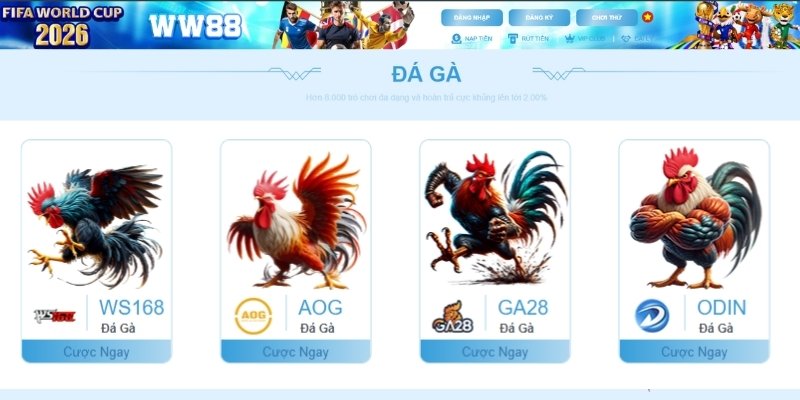 Hướng dẫn các bước chơi đá gà WW88 chi tiết