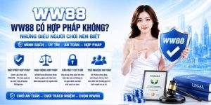 WW88 Có Hợp Pháp Không? Sự Thật Về Giấy Phép Cá Cược WW88